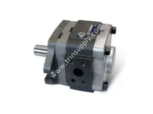 Bomba de Engranajes IPS6-125-111 VOITH