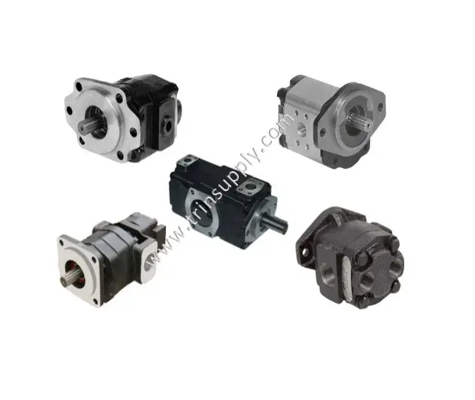 Bomba de Paletas T6C-005-2L01-C1 PARKER